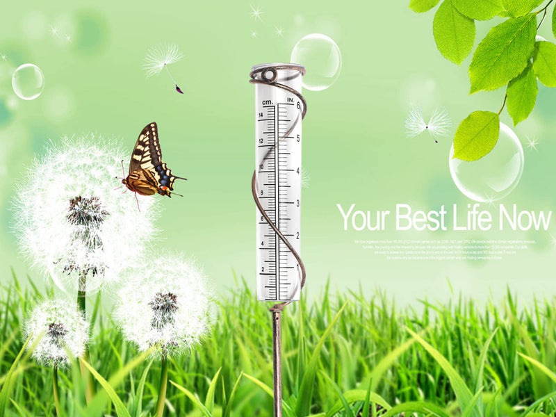 BIUWING 6 inch Rain Gauge Replacement Tube Glass for Yard Garden and Outdoor Home, with Tube Brush, Best Rated,2 Packs - Image 5